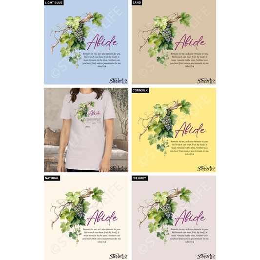 Steader Way™ Abide In The Vine - Women's Tee