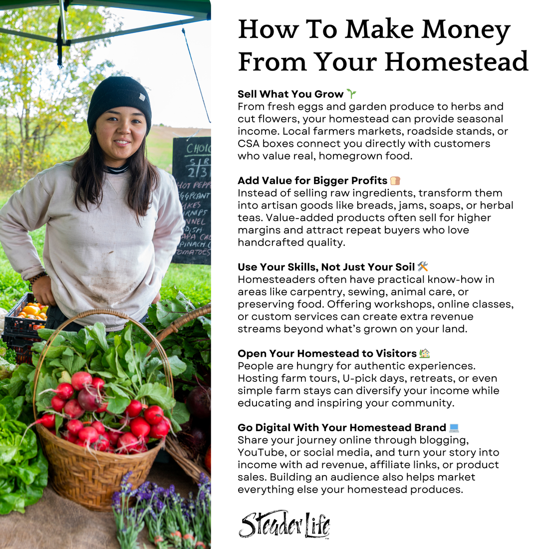 How To Make Money From Your Homestead
