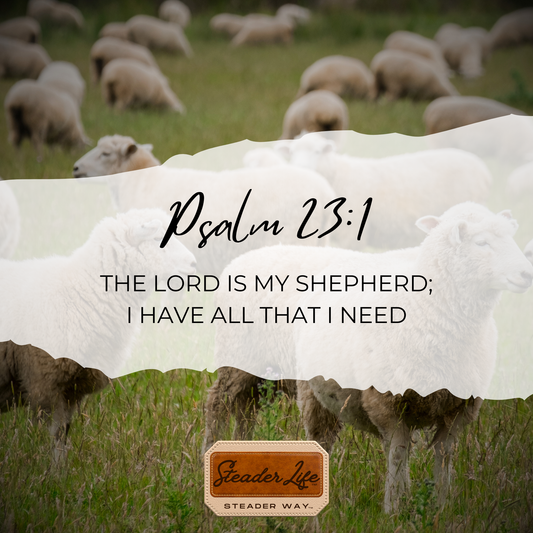 Psalm 23:1