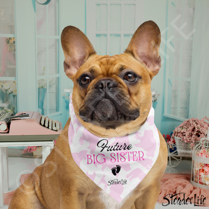 Future Big Sister Baby Announcement - Pet Bandana